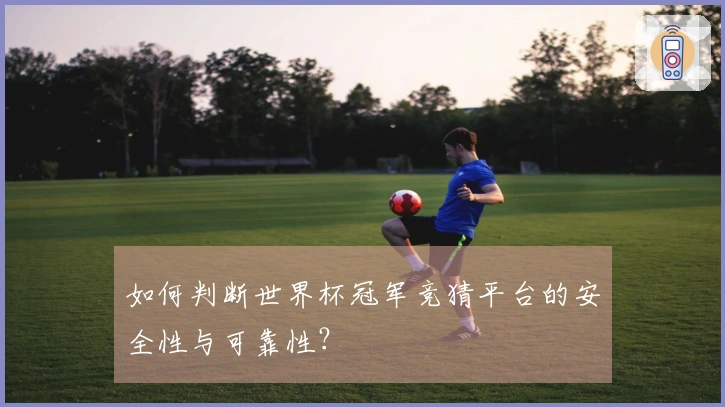 如何判断世界杯冠军竞猜平台的安全性与可靠性？